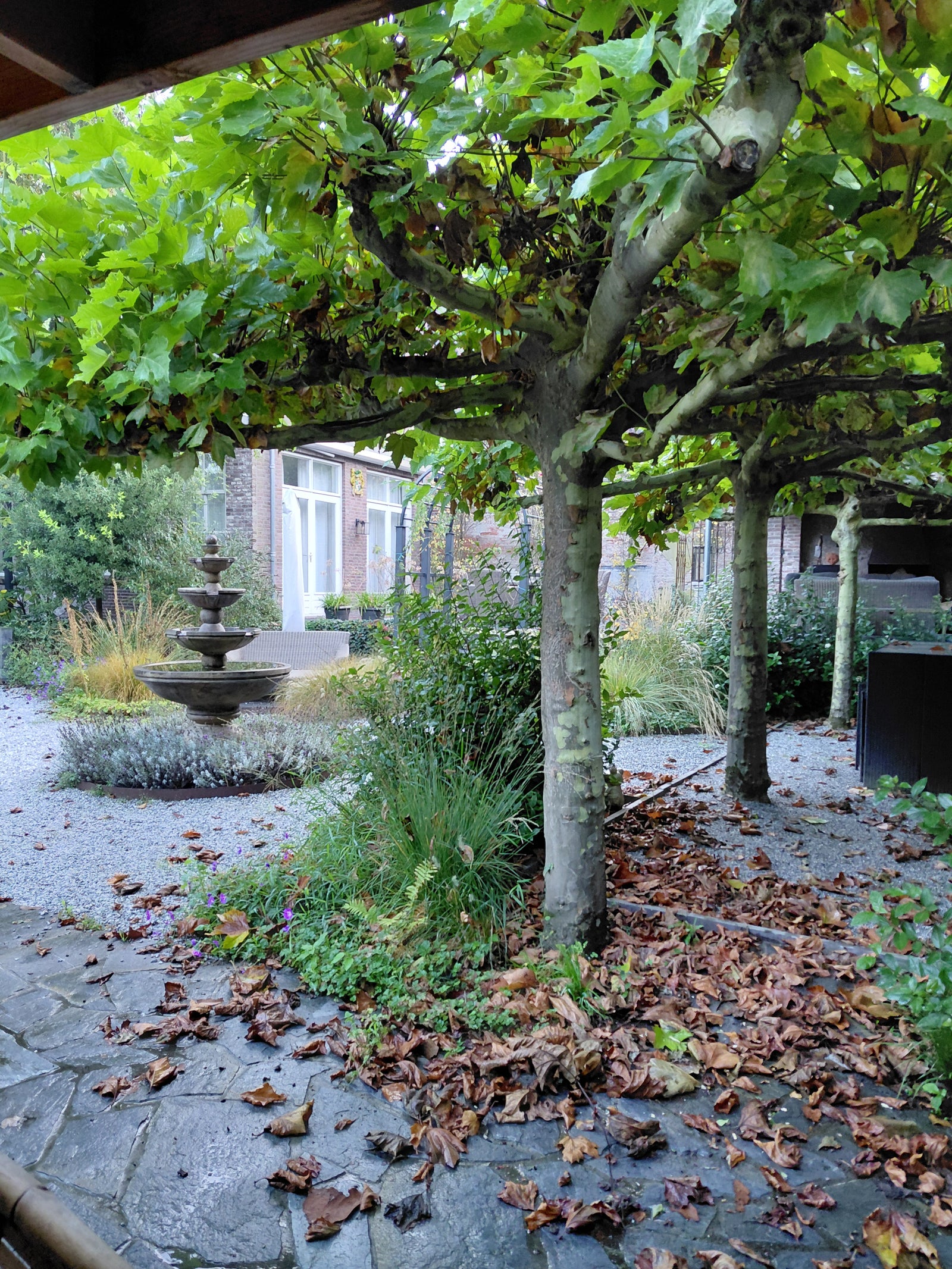 Onderhoud stadstuin in de binnenstad van Den Bosch (2025) — foto 1