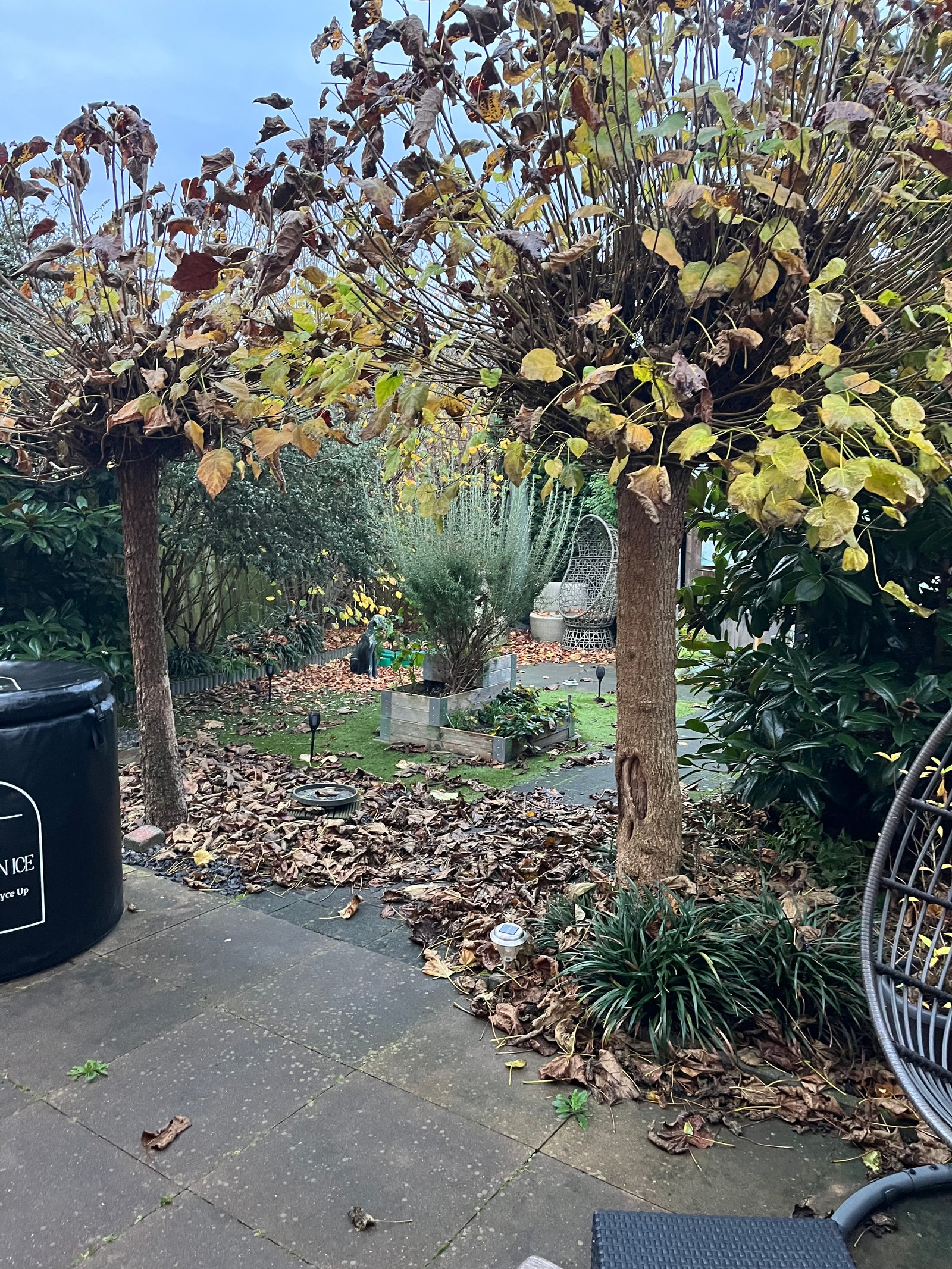 Vast tuinonderhoud in Vught in Vught — foto 1